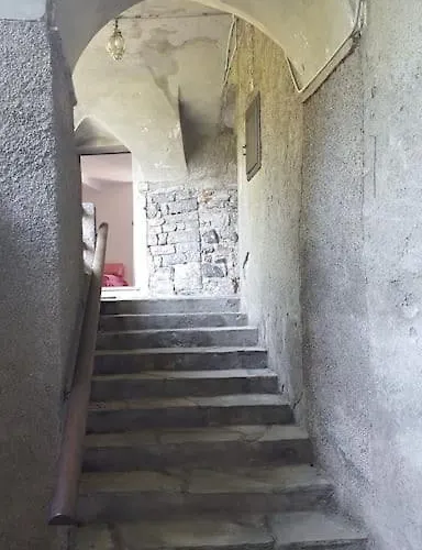 The Ivy House In The Castle *