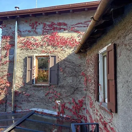 The Ivy House In The Castle