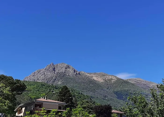 The Ivy House In The Castle Апартаменты