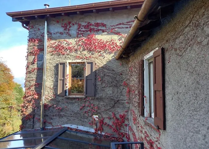 The Ivy House In The Castle